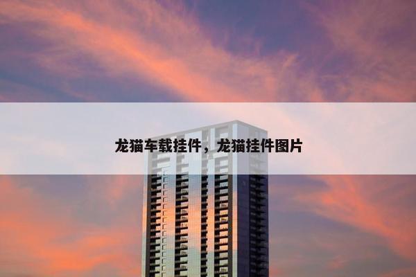 龙猫车载挂件，龙猫挂件图片