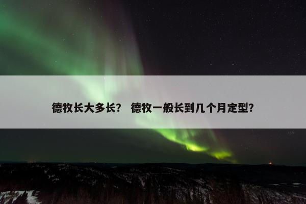 德牧长大多长？ 德牧一般长到几个月定型？