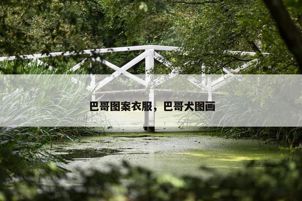 巴哥图案衣服，巴哥犬图画