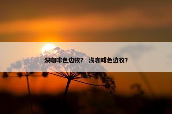 深咖啡色边牧？ 浅咖啡色边牧？