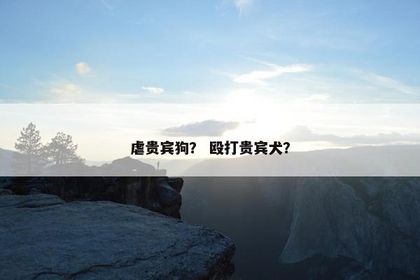 虐贵宾狗？ 殴打贵宾犬？