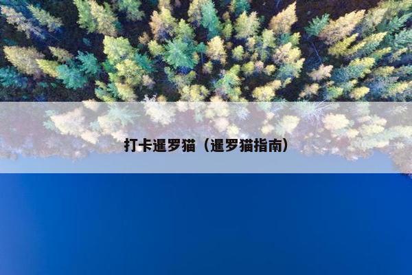 打卡暹罗猫（暹罗猫指南）