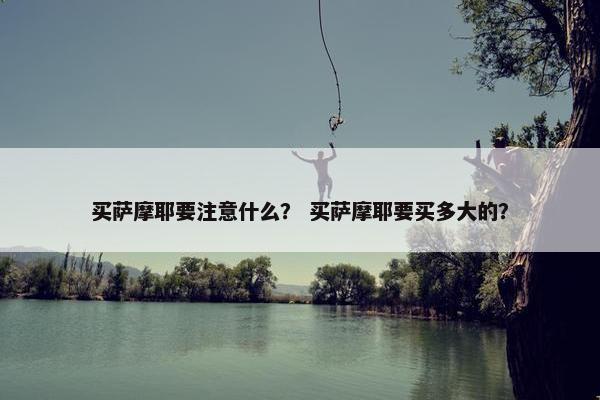 买萨摩耶要注意什么？ 买萨摩耶要买多大的？