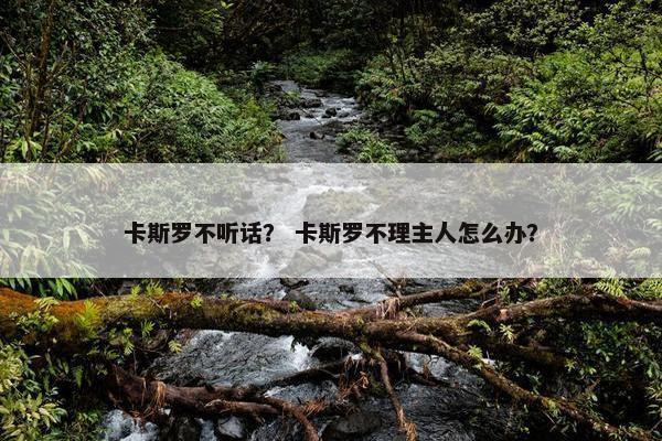 卡斯罗不听话？ 卡斯罗不理主人怎么办？