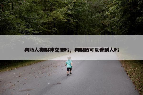 狗能人类眼神交流吗，狗眼睛可以看到人吗