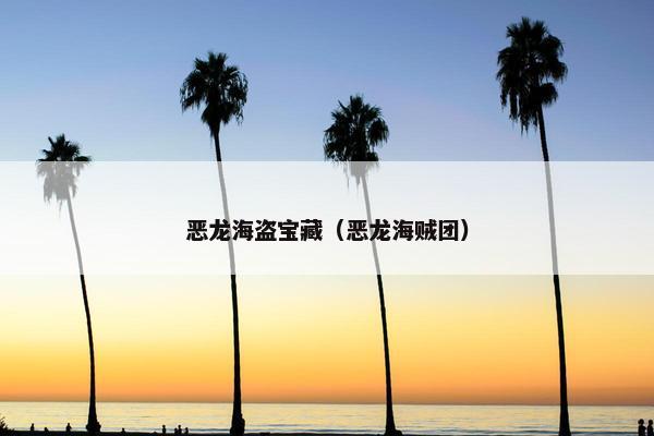 恶龙海盗宝藏（恶龙海贼团）