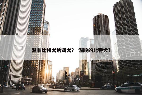 温顺比特犬诱饵犬？ 温顺的比特犬？