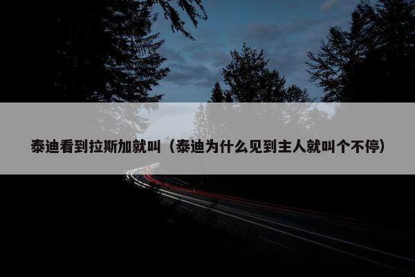 泰迪看到拉斯加就叫（泰迪为什么见到主人就叫个不停）