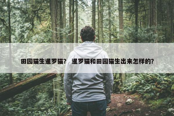 田园猫生暹罗猫？ 暹罗猫和田园猫生出来怎样的？