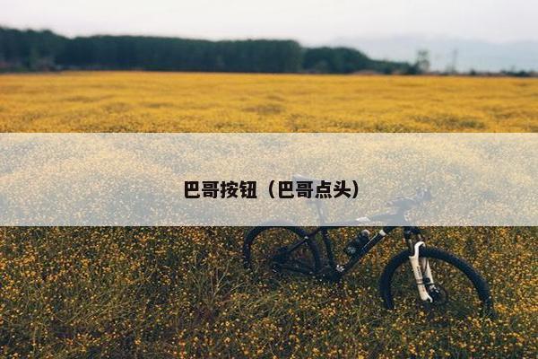 巴哥按钮（巴哥点头）