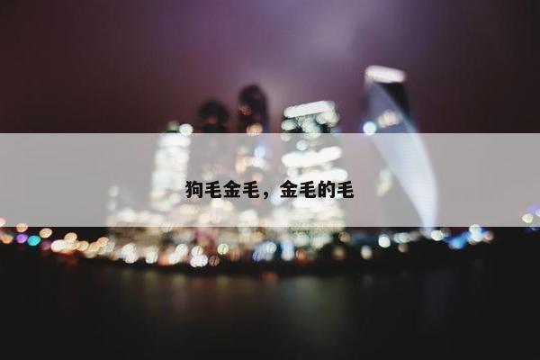 狗毛金毛，金毛的毛
