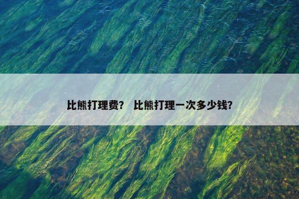 比熊打理费？ 比熊打理一次多少钱？