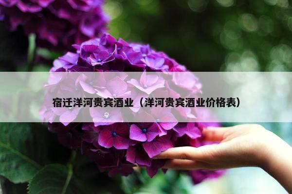 宿迁洋河贵宾酒业（洋河贵宾酒业价格表）