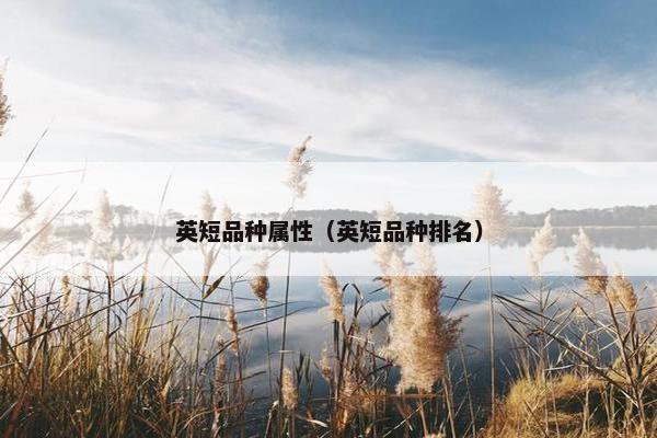 英短品种属性（英短品种排名）