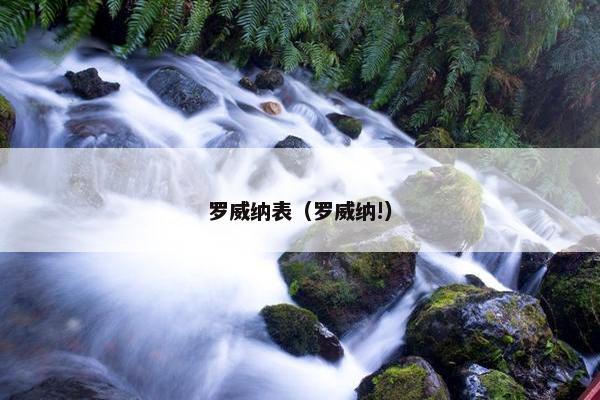 罗威纳表（罗威纳!）