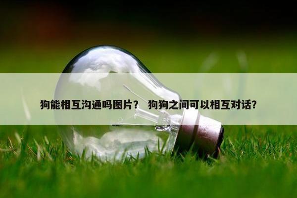 狗能相互沟通吗图片？ 狗狗之间可以相互对话？