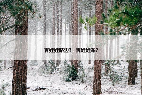 吉娃娃路边？ 吉娃娃车？