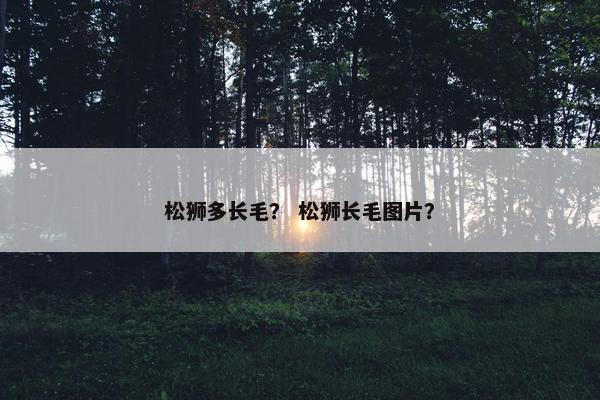 松狮多长毛？ 松狮长毛图片？