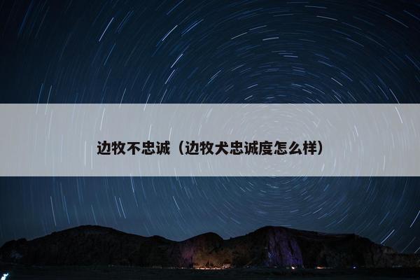 边牧不忠诚（边牧犬忠诚度怎么样）