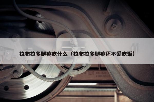 拉布拉多腿疼吃什么（拉布拉多腿疼还不爱吃饭）