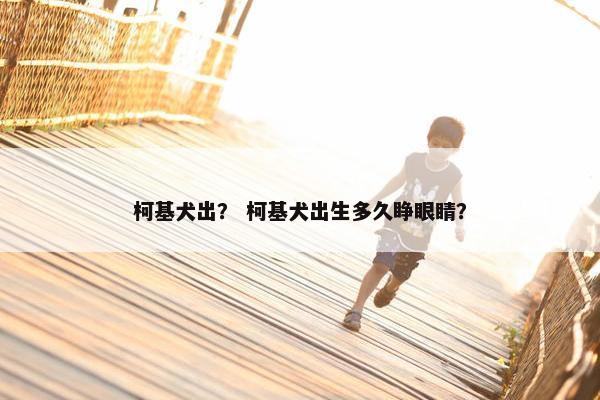 柯基犬出？ 柯基犬出生多久睁眼睛？
