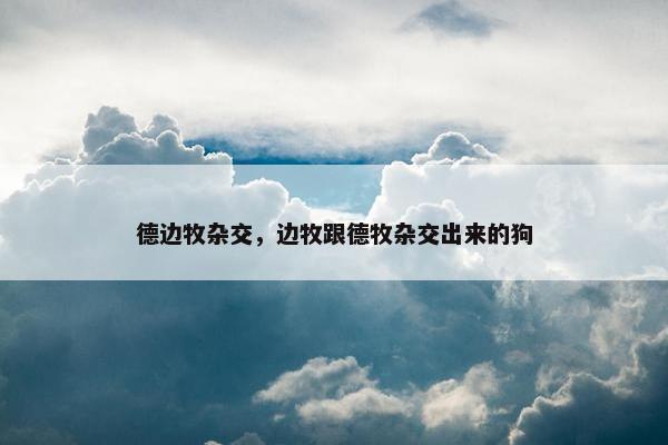 德边牧杂交，边牧跟德牧杂交出来的狗
