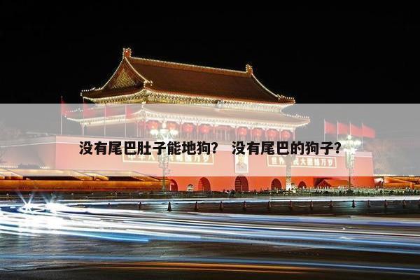 没有尾巴肚子能地狗？ 没有尾巴的狗子？