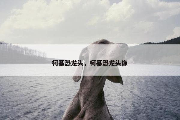 柯基恐龙头，柯基恐龙头像