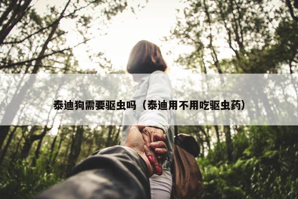 泰迪狗需要驱虫吗（泰迪用不用吃驱虫药）