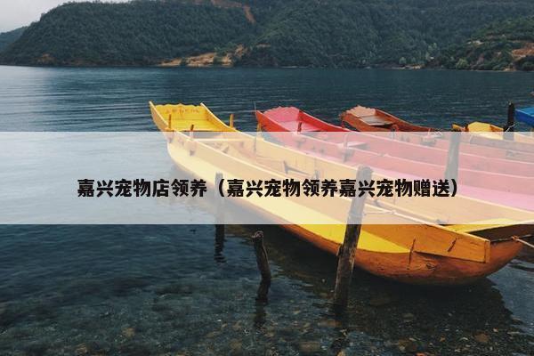 嘉兴宠物店领养（嘉兴宠物领养嘉兴宠物赠送）