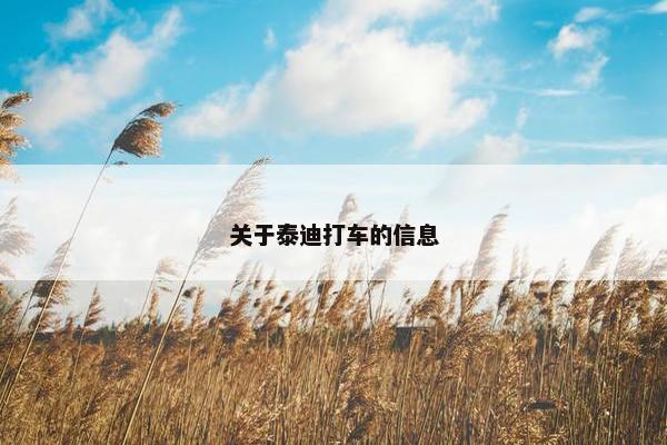 关于泰迪打车的信息