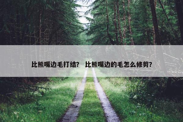 比熊嘴边毛打结？ 比熊嘴边的毛怎么修剪？
