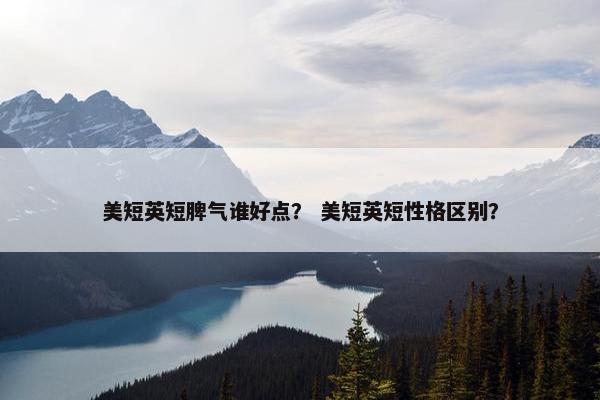 美短英短脾气谁好点？ 美短英短性格区别？