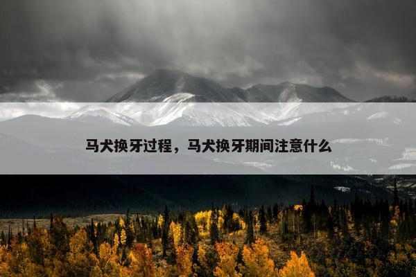 马犬换牙过程，马犬换牙期间注意什么