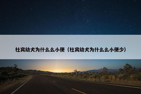 杜宾幼犬为什么么小便（杜宾幼犬为什么么小便少）