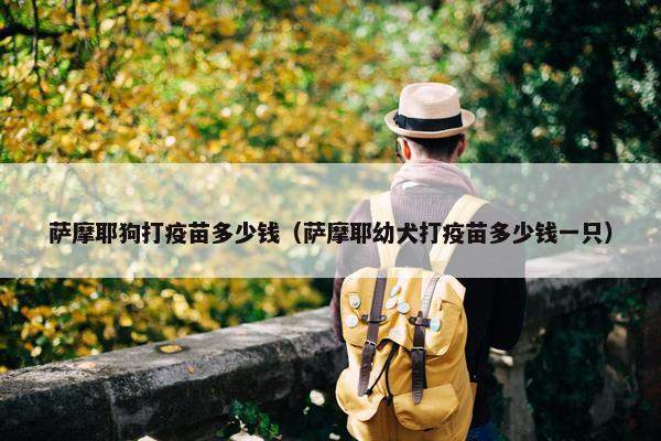 萨摩耶狗打疫苗多少钱（萨摩耶幼犬打疫苗多少钱一只）