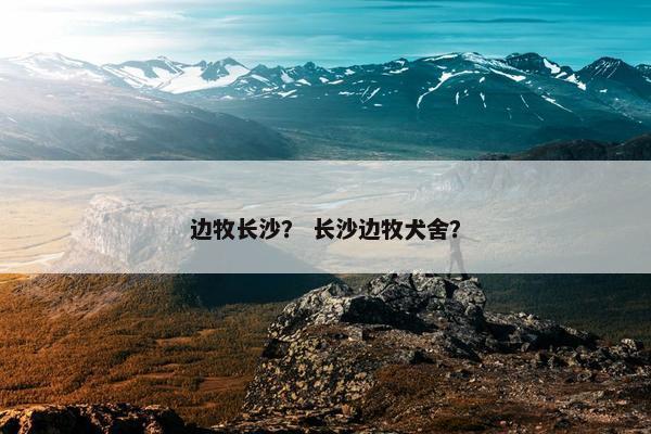 边牧长沙？ 长沙边牧犬舍？