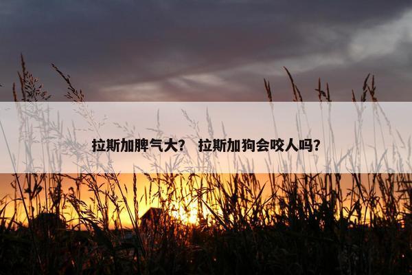 拉斯加脾气大？ 拉斯加狗会咬人吗？