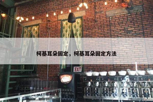 柯基耳朵固定，柯基耳朵固定方法