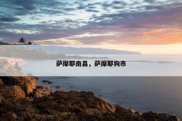 萨摩耶南昌，萨摩耶狗市