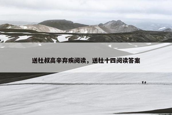 送杜叔高辛弃疾阅读，送杜十四阅读答案