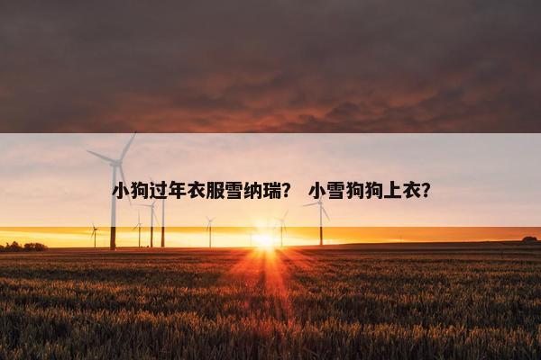 小狗过年衣服雪纳瑞？ 小雪狗狗上衣？