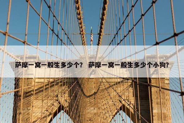 萨摩一窝一般生多少个？ 萨摩一窝一般生多少个小狗？