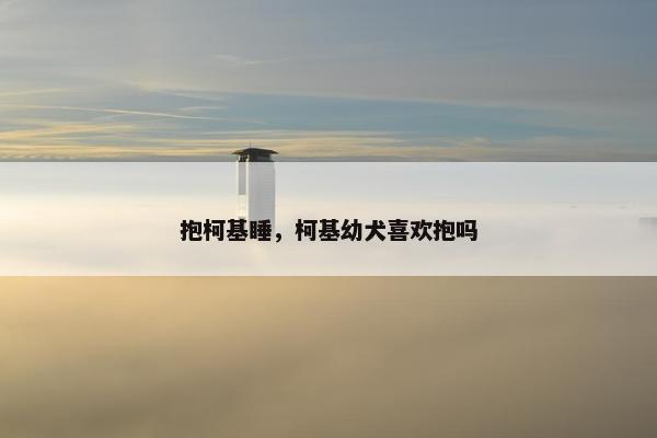 抱柯基睡，柯基幼犬喜欢抱吗