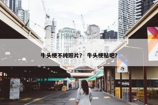 牛头梗不纯照片？ 牛头梗贴吧？