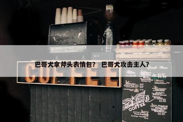 巴哥犬拿斧头表情包？ 巴哥犬攻击主人？
