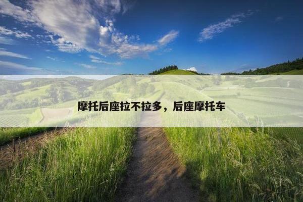 摩托后座拉不拉多，后座摩托车