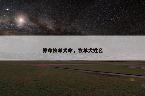 算命牧羊犬命，牧羊犬姓名