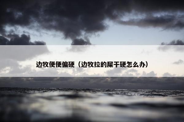 边牧便便偏硬（边牧拉的屎干硬怎么办）
