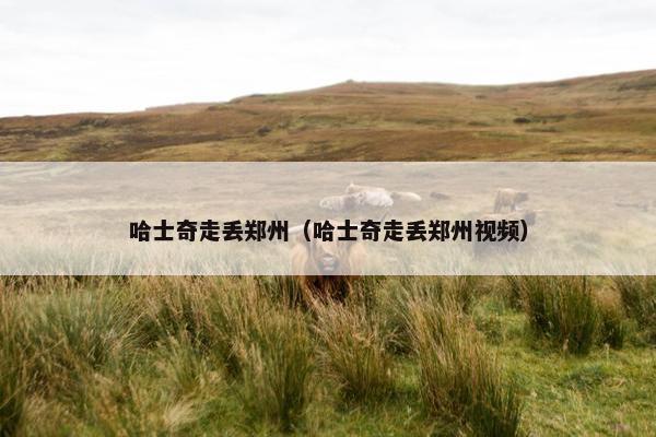 哈士奇走丢郑州（哈士奇走丢郑州视频）